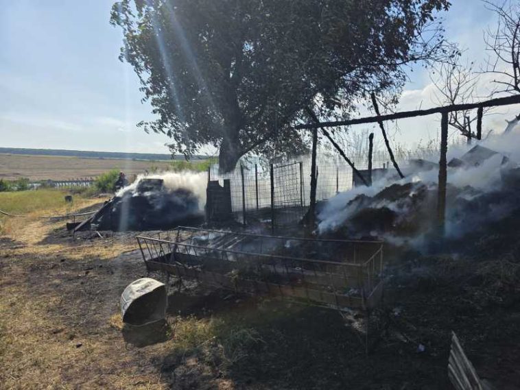 Botoșani: Animale moarte și furaje arse în urma unui incendiu în localitatea Sulița