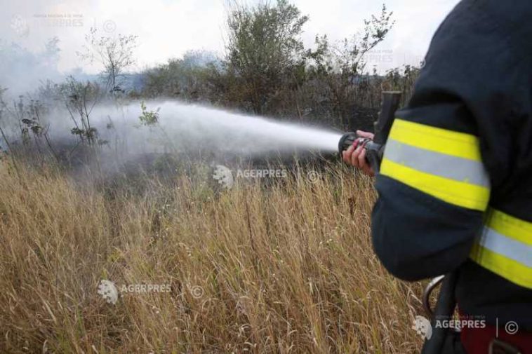 Incendiu de vegetație uscată în municipiul Alba Iulia; intervin cinci atospeciale ISU și pompieri voluntari