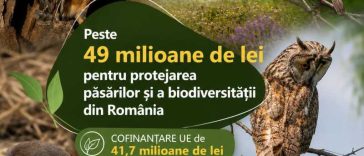 Ministerul Mediului a semnat un contract de peste 49 milioane de lei pentru protejarea păsărilor și a biodiversității