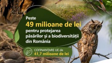 Ministerul Mediului a semnat un contract de peste 49 milioane de lei pentru protejarea păsărilor și a biodiversității