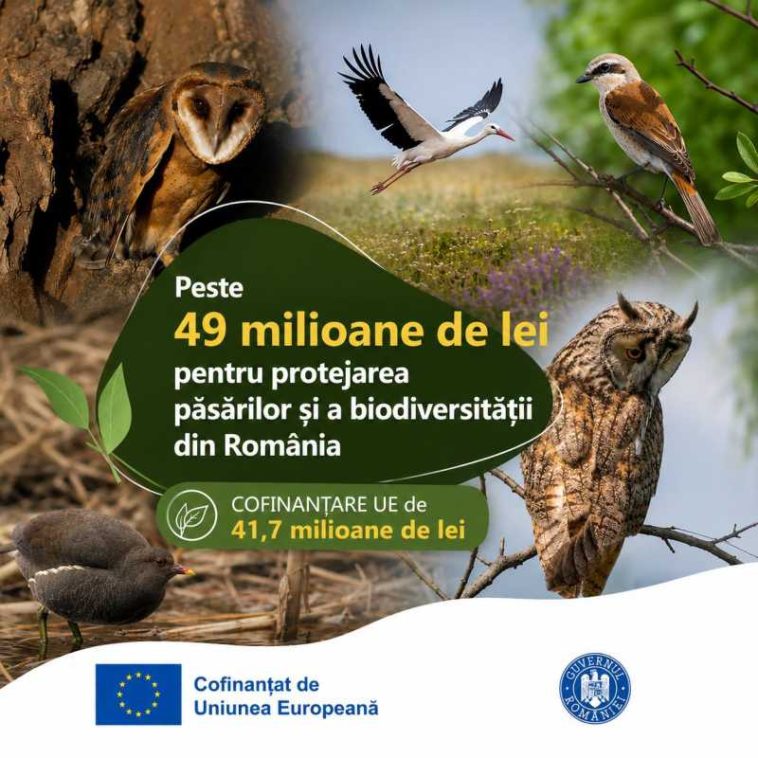 Ministerul Mediului a semnat un contract de peste 49 milioane de lei pentru protejarea păsărilor și a biodiversității