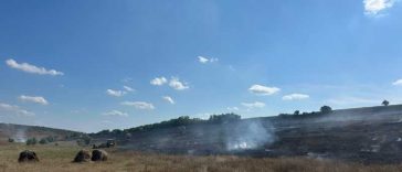 Botoșani: 50 de hectare de vegetație au ars la Unteni
