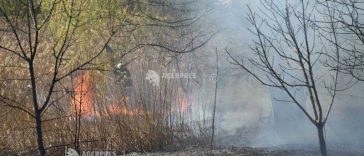 Teleorman: Incendiu de vegetație extins în litiera Pădurii Galbene din zona Banov