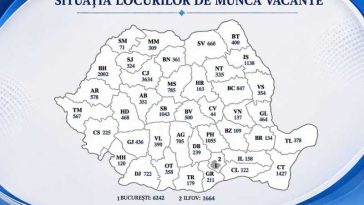 Peste 30.400 de locuri de muncă vacante la nivel național; 116 posturi disponibile în Spațiul Economic European