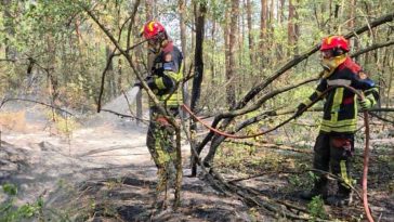 IGSU: Pompierii români au acționat pentru stingerea unui incendiu în apropierea localității Grebenat – Serbia