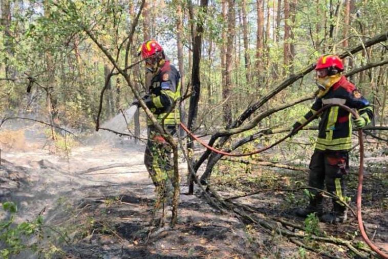 IGSU: Pompierii români au acționat pentru stingerea unui incendiu în apropierea localității Grebenat – Serbia