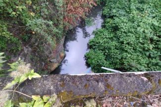 Sălaj: Valea Zalăului, poluată accidental cu produse petroliere; sursa poluării nu a fost identificată