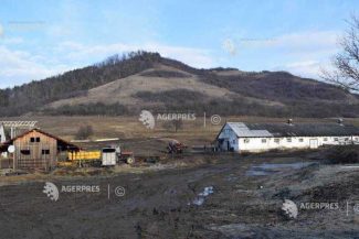 Peste 98% dintre fermieri au primit subvențiile APIA în Campania 2025; suma depășește 2,6 miliarde de euro (minister)