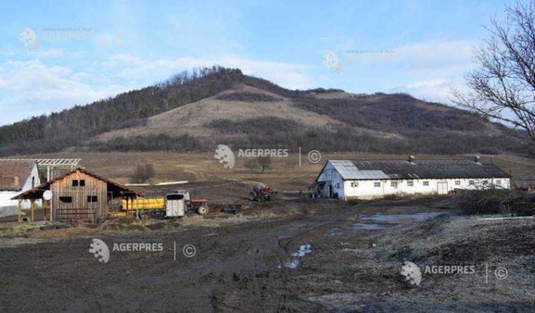 Peste 98% dintre fermieri au primit subvențiile APIA în Campania 2025; suma depășește 2,6 miliarde de euro (minister)