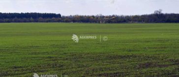 Ucraina ar putea reduce suprafață însămânțată în 2027 cu 25%, pe fondul diminuării exporturilor de cereale