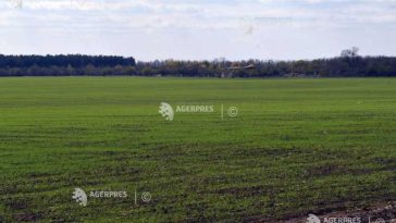 Ucraina ar putea reduce suprafață însămânțată în 2027 cu 25%, pe fondul diminuării exporturilor de cereale