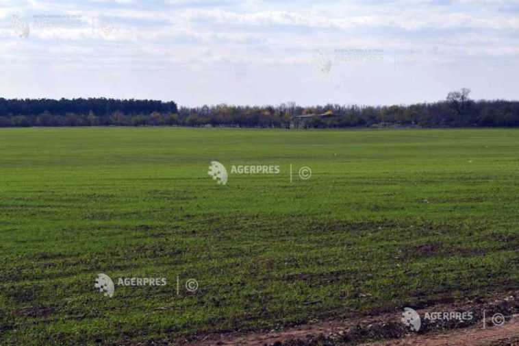 Ucraina ar putea reduce suprafață însămânțată în 2027 cu 25%, pe fondul diminuării exporturilor de cereale