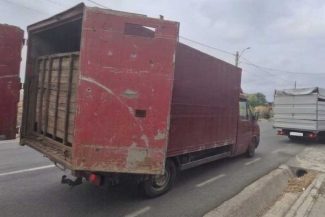 ANSVSA: Două transporturi ilegale de animale, depistate în județul Tulcea