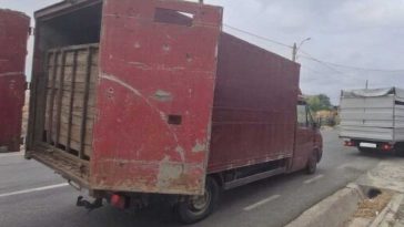 ANSVSA: Două transporturi ilegale de animale, depistate în județul Tulcea