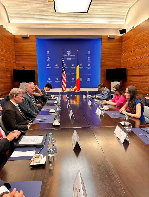 Parteneriatul Strategic cu SUA și întărirea prezenței NATO – discutate de Oana Țoiu cu senatorul american Mike Rogers