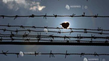 Un deținut a evadat escaladând zidul clădirii și fugind pe acoperișul unei închisori din Germania