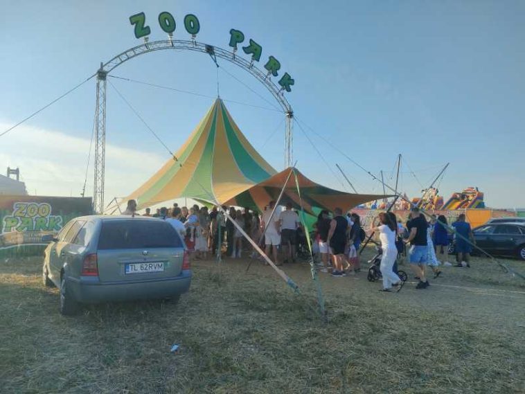 Tulcea: Grădină zoologică mobilă, la podul peste Dunăre