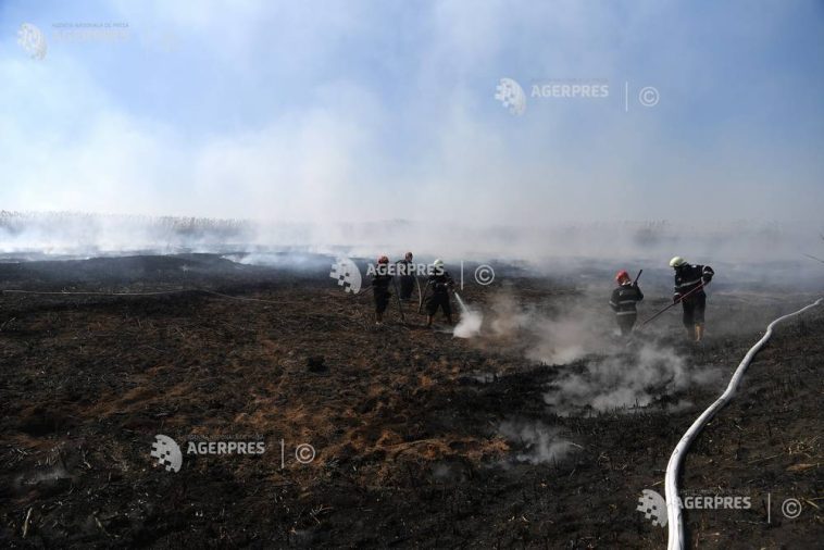 IGSU: 513 incendii care au afectat peste 2.300 de hectare de teren, în trei zile