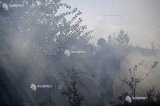Vrancea: Incendiu de vegetație în proximitatea DJ 204, pe direcția Focșani – Suraia