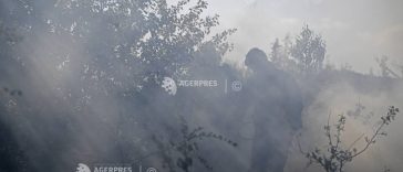 Vrancea: Incendiu de vegetație în proximitatea DJ 204, pe direcția Focșani – Suraia