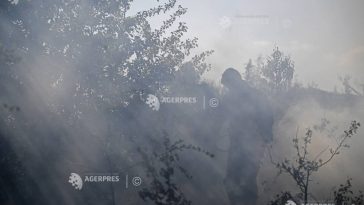 Vrancea: Incendiu de vegetație în proximitatea DJ 204, pe direcția Focșani – Suraia
