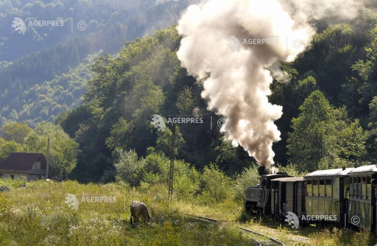 Maramureș: Trenul Mocănița, favoritul turiștilor care petrec vacanța de vară în județ