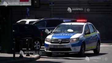 Cluj: Rețineri în urma unor percheziții desfășurate inclusiv la un ocol silvic de stat
