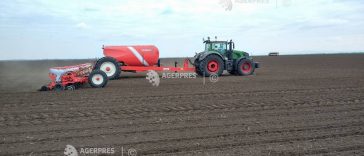 Lucrările agricole de pregătire a terenurilor pentru însămânțări la rapița și orzul de toamnă se vor desfășura cu dificultate (agrometeo)
