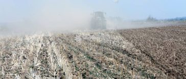 Arad: Aproximativ 1.300 de fermieri au reclamat pagube la culturile de toamnă; 79.000 de hectare afectate de secetă