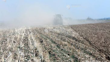 Arad: Aproximativ 1.300 de fermieri au reclamat pagube la culturile de toamnă; 79.000 de hectare afectate de secetă