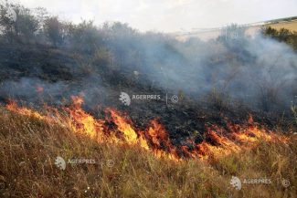 Tulcea: Circa 700 de hectare din ostrovul Babina, afectate de un incendiu