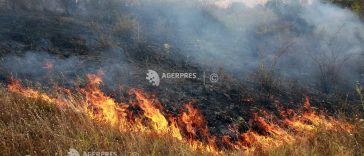Tulcea: Circa 700 de hectare din ostrovul Babina, afectate de un incendiu