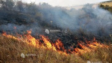 Tulcea: Circa 700 de hectare din ostrovul Babina, afectate de un incendiu