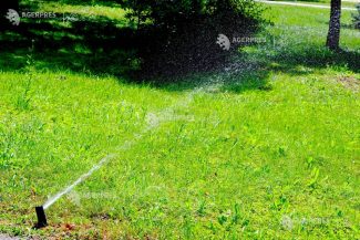 Neamț: Apa potabilă – interzisă pentru udarea gazonului, umplerea piscinelor sau spălarea curților/mașinilor