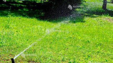 Neamț: Apa potabilă – interzisă pentru udarea gazonului, umplerea piscinelor sau spălarea curților/mașinilor