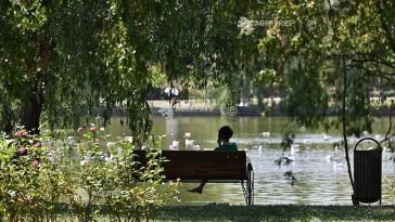 ANM: Vreme plăcută, cu șanse reduse de ploaie în intervalul 31 august – 13 septembrie