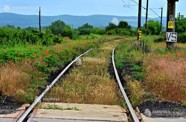 Strategia de dezvoltare a infrastructurii feroviare pentru perioada 2026-2030, aprobată de Guvern