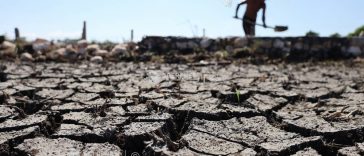 Anul 2027 ar putea fi cel mai cald înregistrat vreodată, sub impactul fenomenului El Nino
