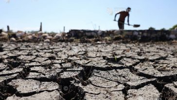 Anul 2027 ar putea fi cel mai cald înregistrat vreodată, sub impactul fenomenului El Nino