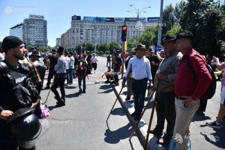 Jandarmii bucureșteni au aplicat 14 sancțiuni în valoare totală de 10.400 de lei unor participanți la protestul oierilor