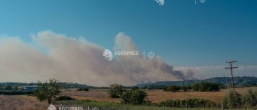 Grecia/ Incendiul din Halkidiki, care a condus la evacuarea a aproape 500 de persoane, adus sub control de pompieri