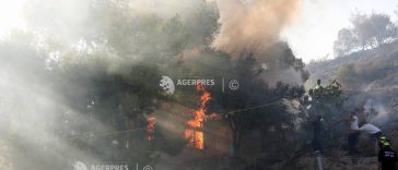 Grecia/ Incendiile de pe insula Salamina, de lângă Atena, soldate cu două victime, au fost stinse