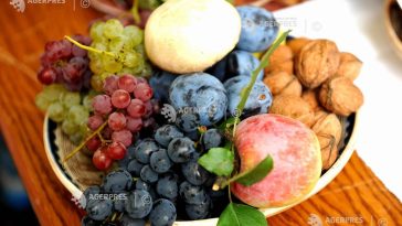 Aprobarea Legii Biodiversității, un pas salvator pentru bugetul de stat; normele nu recunosc meritele agriculturii ecologice (asociație)