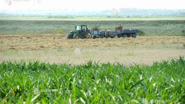 Agricultorii români suportă unele dintre cele mai ridicate costuri cu motorina (fermier)