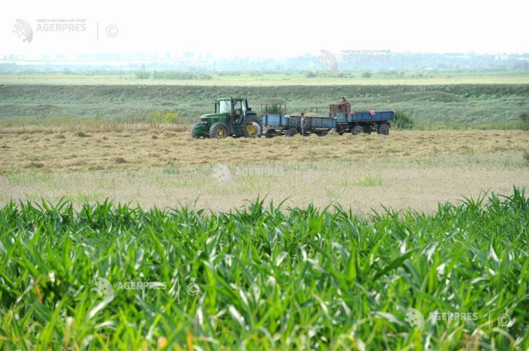 Agricultorii români suportă unele dintre cele mai ridicate costuri cu motorina (fermier)