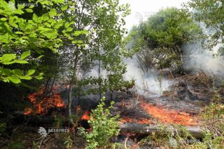 Romsilva: Puternic incendiu de pădure în apropierea localității Plauru; după mărturia localnicilor, cauza ar fi explozia unei drone