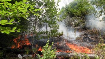 Romsilva: Puternic incendiu de pădure în apropierea localității Plauru; după mărturia localnicilor, cauza ar fi explozia unei drone