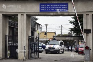 Dâmbovița: Animale deținute ilegal de o fundație la Picior de Munte, preluate de autorități; noi cercetări la fața locului