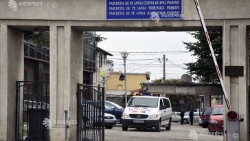 Dâmbovița: Animale deținute ilegal de o fundație la Picior de Munte, preluate de autorități; noi cercetări la fața locului
