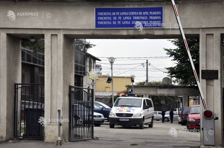 Dâmbovița: Animale deținute ilegal de o fundație la Picior de Munte, preluate de autorități; noi cercetări la fața locului